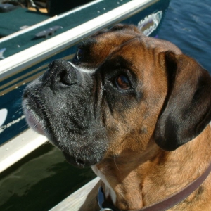 Hoping for a boat ride