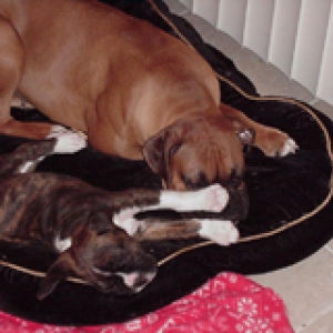 Napping