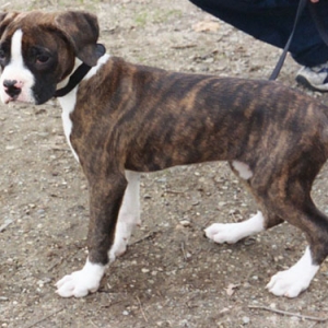 some first pics of cassius