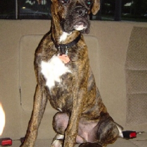 Tigger at Six Months