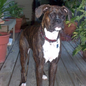 Lael at 10 months.