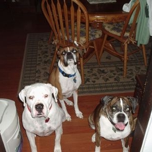 Group Photo