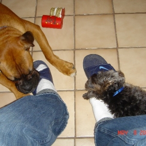 Both biting my sandals