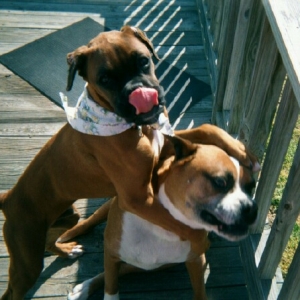 The Big Smooch