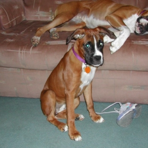 Mandi & Lexi looking for trouble