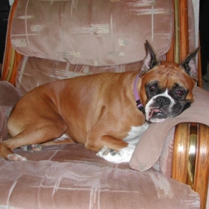Mandi relaxing as always