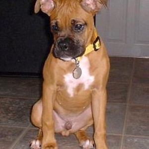 Chester
