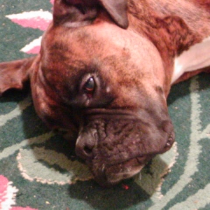 Pooped!