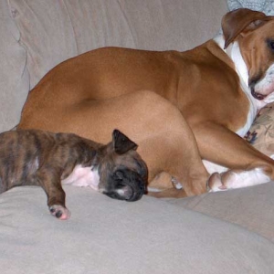 Two by Two; when you sleep I'll watch over you