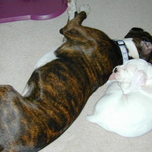 Ahh, Nap Time