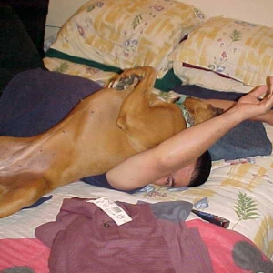 What? (2002)
