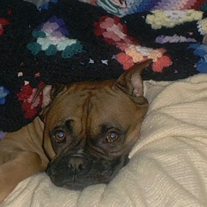 My boy.. the snuggle bug!
