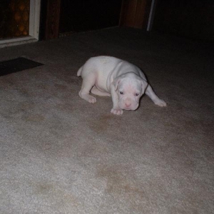 4 Weeks