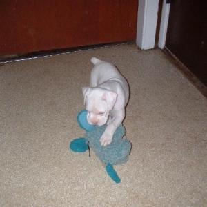 6 Weeks