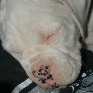 Sleeping