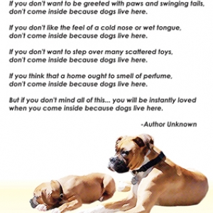 Dogs Live Here