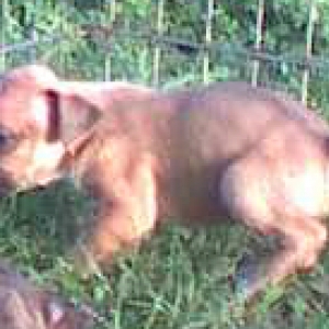 Lucky's first day outside!