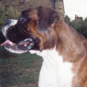 Monty profile