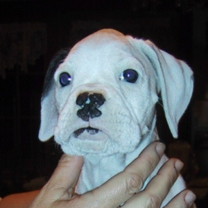 Ani @ 7 Weeks