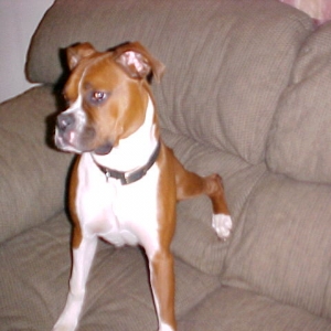 Reggie