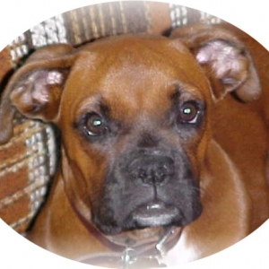 Maggie's First Portrait