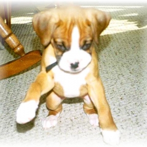 chloe !!!