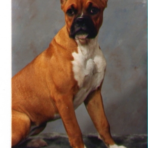 Mazey sitting pretty