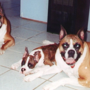 Mazey, Gretchen and Loki