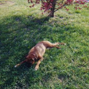 Taking some shade