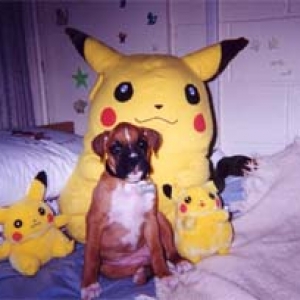 Casey and Pikachus