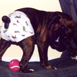 the underwear ninja strikes again!!!