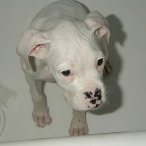 Bathtime