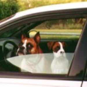 Come On Mom, We're Ready!