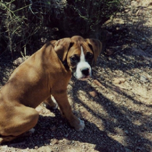 Mac being a hiker!
