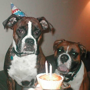 Tati & Buster
