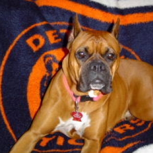 Rooting for the home team.