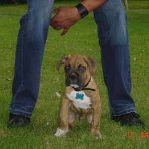 russo at 10 weeks