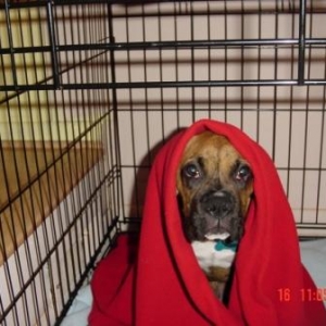 Russo as ET