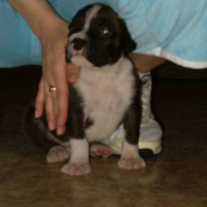 Wilson at 5 weeks