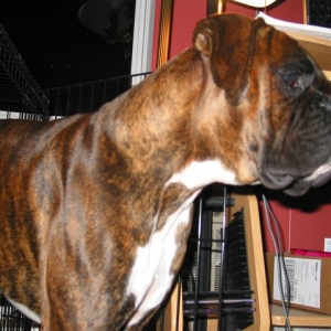 What?