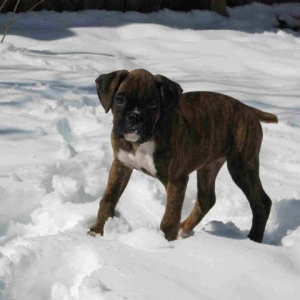 What's all this white stuff?
