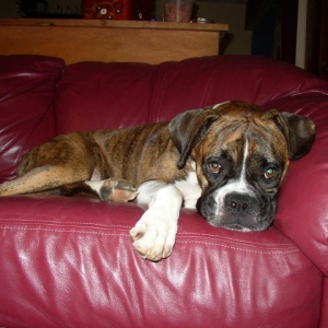 Just relaxing