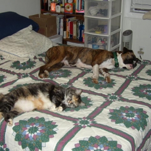Just a nap