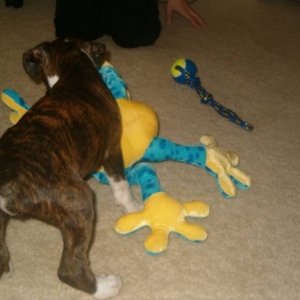 Wilson playing
