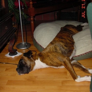 I'm sure it feels more comfortable than it looks
