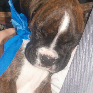 My Little Angel