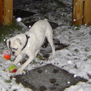 Play time