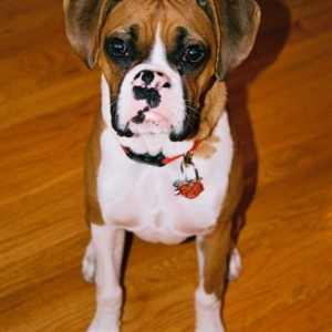 Seven months old!