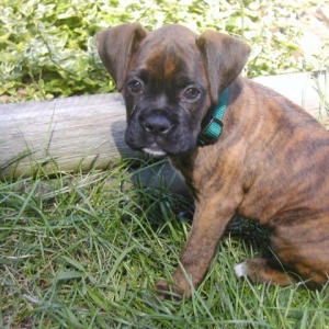 Monty first day home