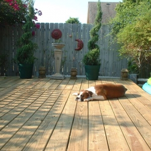 Sunbathing
